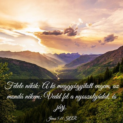 Picture 03 - János 5:11 KAR - Felele nékik: A ki meggyógyított engem, az - Bible Verse Picture