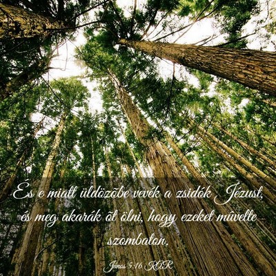 Picture 03 - János 5:16 KAR - És e miatt üldözõbe vevék a zsidók Jézust, - Bible Verse Picture