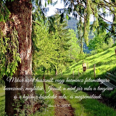 Picture 03 - János 6:19 KAR - Mikor azért huszonöt, vagy harmincz - Bible Verse Picture
