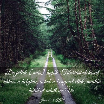 Picture 03 - János 6:23 KAR - De jöttek [más] hajók Tiberiásból közel - Bible Verse Picture