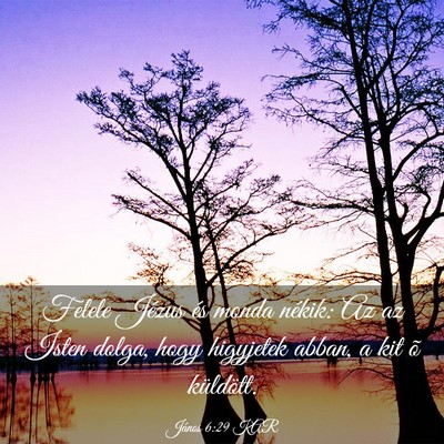 Picture 03 - János 6:29 KAR - Felele Jézus és monda nékik: Az az Isten - Bible Verse Picture