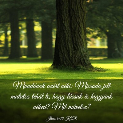Picture 03 - János 6:30 KAR - Mondának azért néki: Micsoda jelt mutatsz - Bible Verse Picture