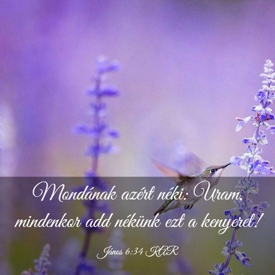 Picture 03 - János 6:34 KAR - Mondának azért néki: Uram, mindenkor add - Bible Verse Picture