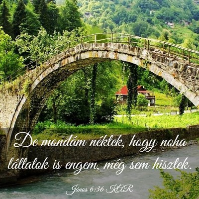 Picture 03 - János 6:36 KAR - De mondám néktek, hogy noha láttatok is engem, - Bible Verse Picture