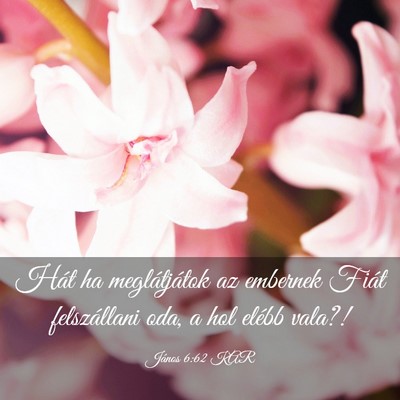 Picture 03 - János 6:62 KAR - Hát ha meglátjátok az embernek Fiát - Bible Verse Picture