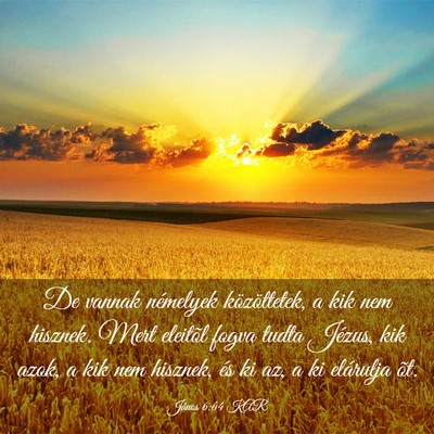 Picture 03 - János 6:64 KAR - De vannak némelyek közöttetek, a kik nem - Bible Verse Picture
