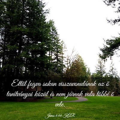 Picture 03 - János 6:66 KAR - Ettõl fogva sokan visszavonulának az õ - Bible Verse Picture