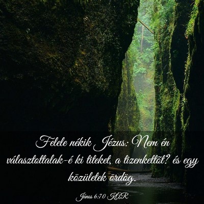 Picture 03 - János 6:70 KAR - Felele nékik Jézus: Nem én választottalak-é - Bible Verse Picture