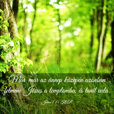 Picture 03 - János 7:14 KAR - Már-már az ünnep közepén azonban felméne - Bible Verse Picture