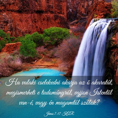 Picture 03 - János 7:17 KAR - Ha valaki cselekedni akarja az õ akaratát, - Bible Verse Picture