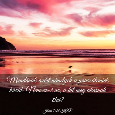 Picture 03 - János 7:25 KAR - Mondának azért némelyek a jeruzsálemiek - Bible Verse Picture