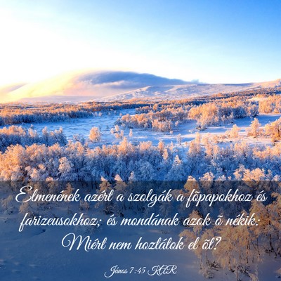 Picture 03 - János 7:45 KAR - Elmenének azért a szolgák a fõpapokhoz és - Bible Verse Picture