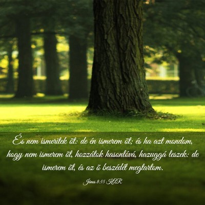 Picture 03 - János 8:55 KAR - És nem ismeritek õt: de én ismerem õt; és ha - Bible Verse Picture