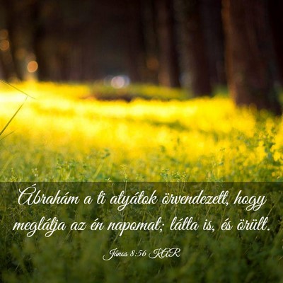 Picture 03 - János 8:56 KAR - Ábrahám a ti atyátok örvendezett, hogy - Bible Verse Picture