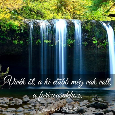 Picture 03 - János 9:13 KAR - Vivék õt, a ki elõbb még vak volt, a - Bible Verse Picture