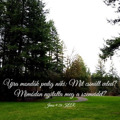 Picture 03 - János 9:26 KAR - Újra mondák pedig néki: Mit csinált veled? - Bible Verse Picture