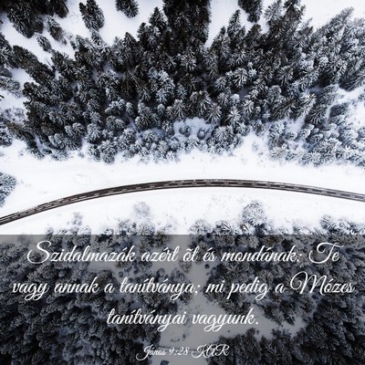 Picture 03 - János 9:28 KAR - Szidalmazák azért õt és mondának: Te vagy - Bible Verse Picture