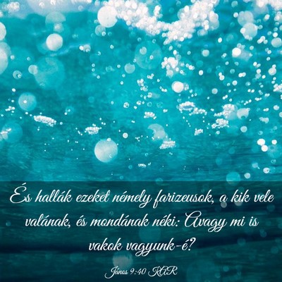 Picture 03 - János 9:40 KAR - És hallák ezeket némely farizeusok, a kik vele - Bible Verse Picture