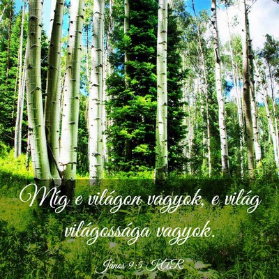 Picture 03 - János 9:5 KAR - Míg e világon vagyok, e világ világossága - Bible Verse Picture