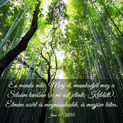 Picture 03 - János 9:7 KAR - És monda néki: Menj el, mosakodjál meg a - Bible Verse Picture