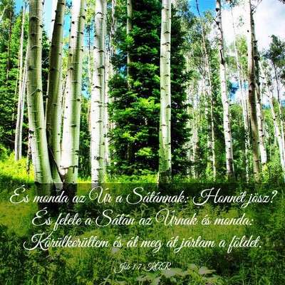 Picture 03 - Jób 1:7 KAR - És monda az Úr a Sátánnak: Honnét jösz? És - Bible Verse Picture