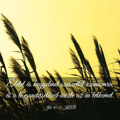 Picture 03 - Jób 10:12 KAR - Életet és kegyelmet szerzettél számomra, és - Bible Verse Picture