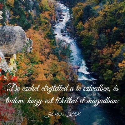 Picture 03 - Jób 10:13 KAR - De ezeket elrejtetted a te szívedben, és tudom, - Bible Verse Picture