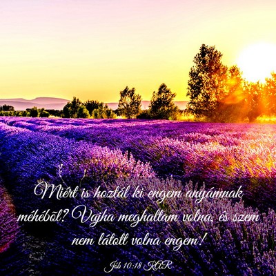 Picture 03 - Jób 10:18 KAR - Miért is hoztál ki engem anyámnak méhébõl? - Bible Verse Picture