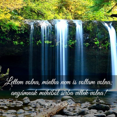 Picture 03 - Jób 10:19 KAR - Lettem volna, mintha nem is voltam volna; - Bible Verse Picture