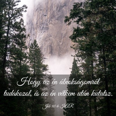 Picture 03 - Jób 10:6 KAR - Hogy az én álnokságomról tudakozol, és az - Bible Verse Picture