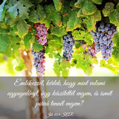 Picture 03 - Jób 10:9 KAR - Emlékezzél, kérlek, hogy mint valami - Bible Verse Picture