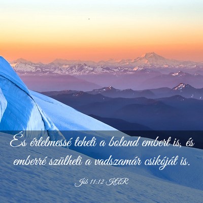 Picture 03 - Jób 11:12 KAR - És értelmessé teheti a bolond embert is, és - Bible Verse Picture