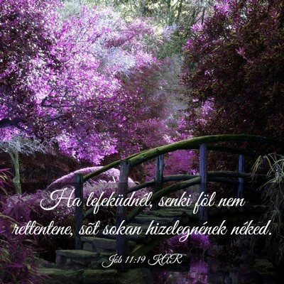 Picture 03 - Jób 11:19 KAR - Ha lefeküdnél, senki föl nem rettentene, sõt - Bible Verse Picture