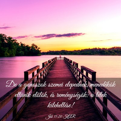 Picture 03 - Jób 11:20 KAR - De a gonoszok szemei elepednek, menedékök - Bible Verse Picture