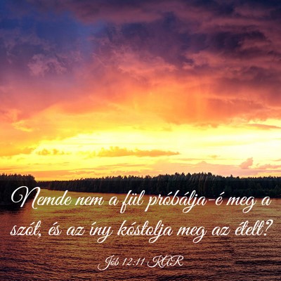 Picture 03 - Jób 12:11 KAR - Nemde nem a fül próbálja-é meg a szót, és - Bible Verse Picture