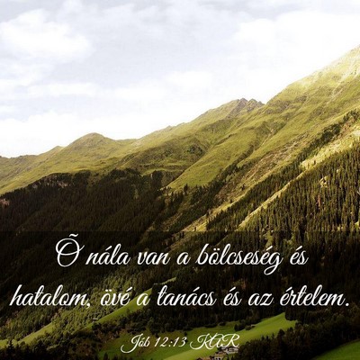 Picture 03 - Jób 12:13 KAR - Õ nála van a bölcseség és hatalom, övé a - Bible Verse Picture