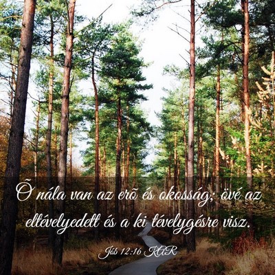 Picture 03 - Jób 12:16 KAR - Õ nála van az erõ és okosság; övé az - Bible Verse Picture