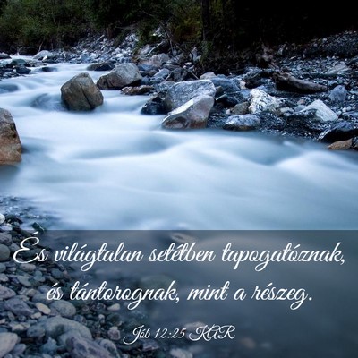 Picture 03 - Jób 12:25 KAR - És világtalan setétben tapogatóznak, és - Bible Verse Picture