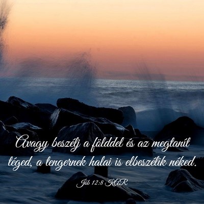 Picture 03 - Jób 12:8 KAR - Avagy beszélj a földdel és az megtanít - Bible Verse Picture