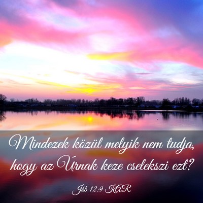 Picture 03 - Jób 12:9 KAR - Mindezek közül melyik nem tudja, hogy az Úrnak - Bible Verse Picture