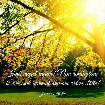 Picture 03 - Jób 13:15 KAR - Ímé, megöl engem! Nem reménylem; hiszen csak - Bible Verse Picture