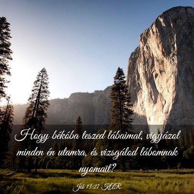 Picture 03 - Jób 13:27 KAR - Hogy békóba teszed lábaimat, vigyázol minden - Bible Verse Picture