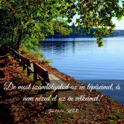 Picture 03 - Jób 14:16 KAR - De most számlálgatod az én lépéseimet, és - Bible Verse Picture