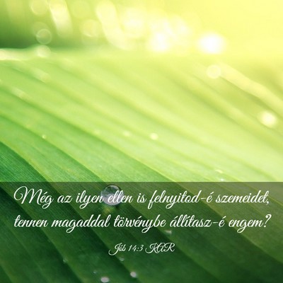 Picture 03 - Jób 14:3 KAR - Még az ilyen ellen is felnyitod-é szemeidet, - Bible Verse Picture