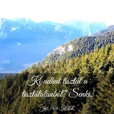 Picture 03 - Jób 14:4 KAR - Ki adhat tisztát a tisztátalanból? - Bible Verse Picture