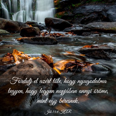 Picture 03 - Jób 14:6 KAR - Fordulj el azért tõle, hogy nyugodalma legyen, - Bible Verse Picture