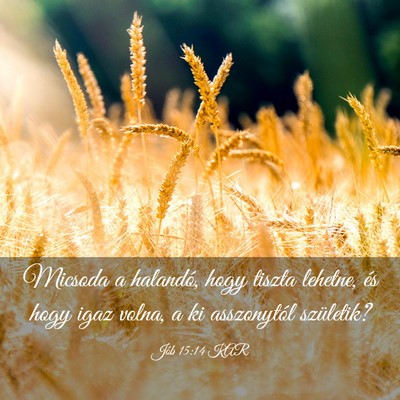 Picture 03 - Jób 15:14 KAR - Micsoda a halandó, hogy tiszta lehetne, és hogy - Bible Verse Picture