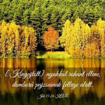 Picture 03 - Jób 15:26 KAR - [Kinyujtott] nyakkal rohant ellene, domború - Bible Verse Picture