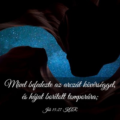 Picture 03 - Jób 15:27 KAR - Mivel befedezte az arczát kövérséggel, és - Bible Verse Picture