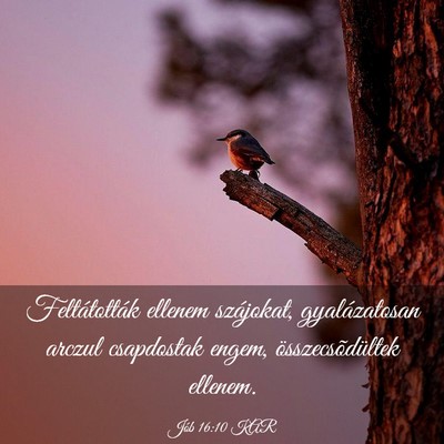 Picture 03 - Jób 16:10 KAR - Feltátották ellenem szájokat, gyalázatosan - Bible Verse Picture